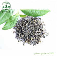 Wholesale Special Chamomile Weight Loss Chunmee Green Tea 7700 Yunwu Green Tea